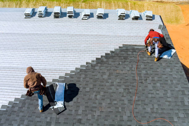 Best Metal Roofing Contractor  in Castlewood, VA